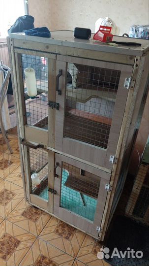 Шиншилла с клеткой