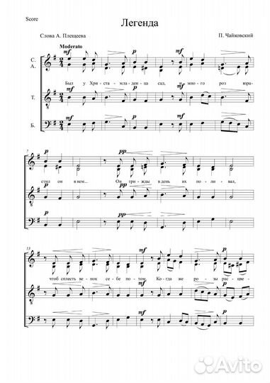 Профессиональный набор нот