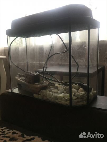 Аквариум