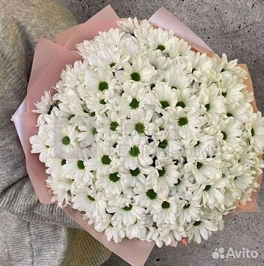 Хризантема Доставка цветов Букеты