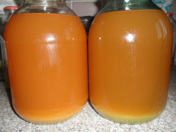 Сок яблок (банка 3л) Саженцы яблони 2 метра 2 года