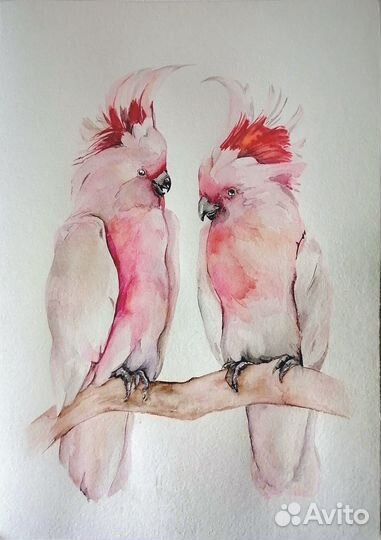 Картина акварель птицы