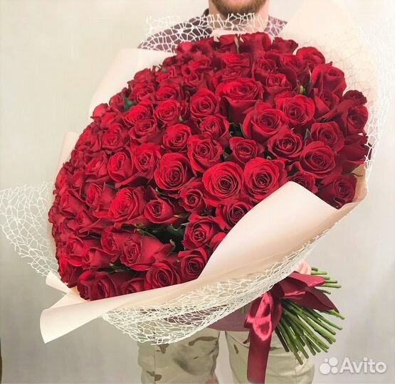 101 Роза цветы 201 101 51 Роза