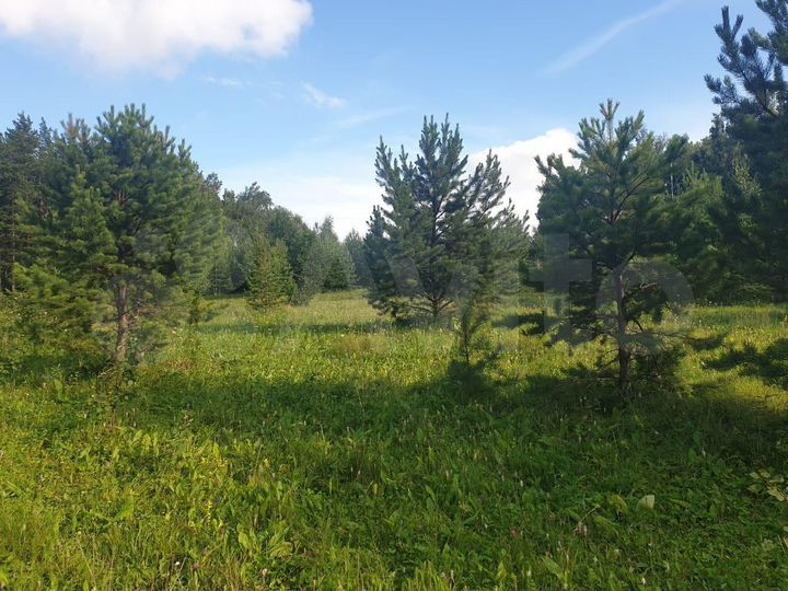 Участок 1,6 га (СНТ, ДНП)