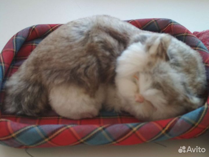 Котики /собачки для коллекции штучно