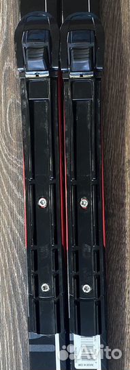 Лыжи беговые tisa race cap skating