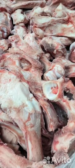 Мясо и кости для собак