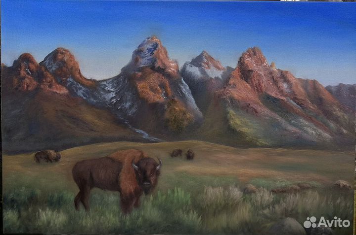 Картина маслом «Вайоминг»