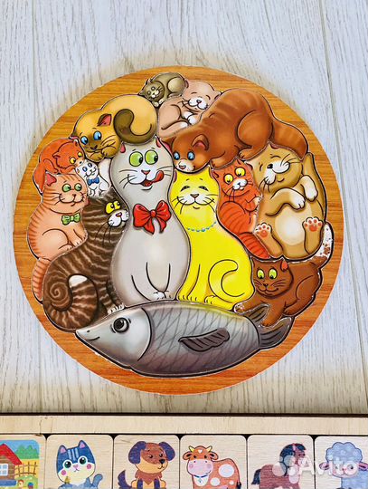 Деревянные пазлы сортер