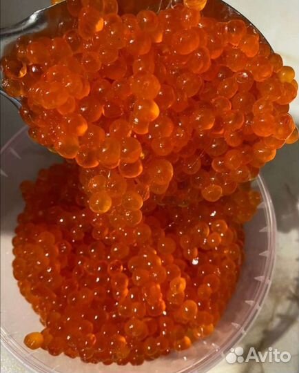 Икра красная (горбуши ) 2023