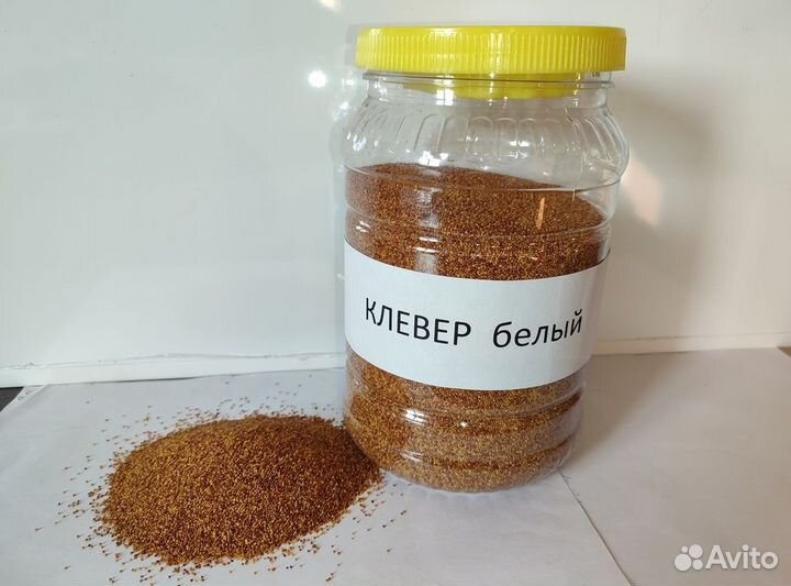 Семена белого клевера