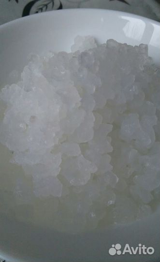 Морской индийский рис