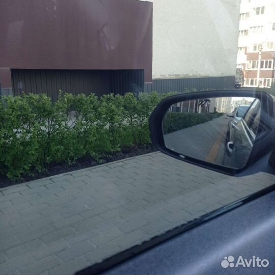 Съемная тонировка vesta