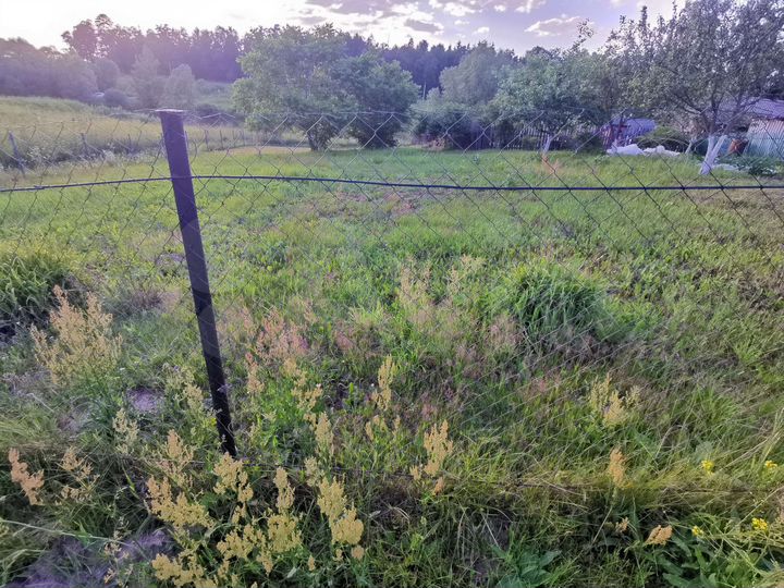 Участок 10 сот. (ИЖС)