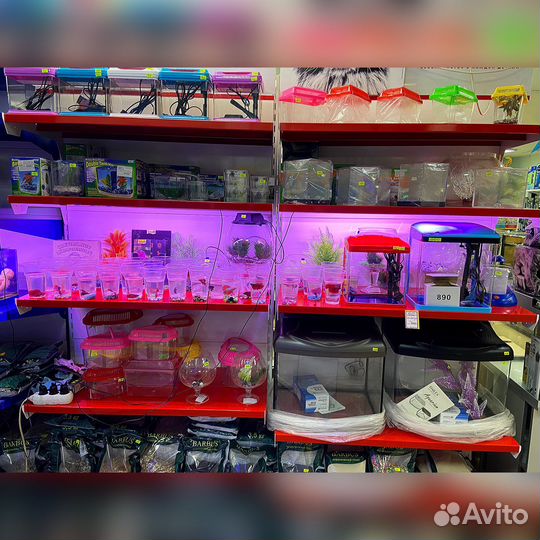Аквариум в ассортименте