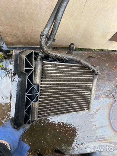 Радиатор масленный land rover range rover l322