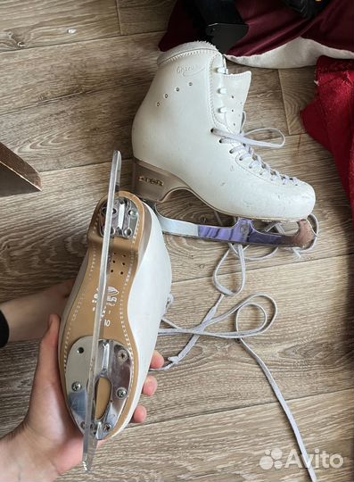 Фигурные коньки edea chorus 230