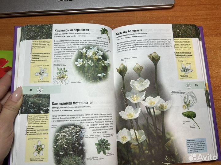 Книги про цветы