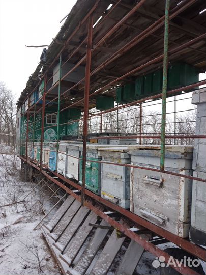 Пчелоприцеп