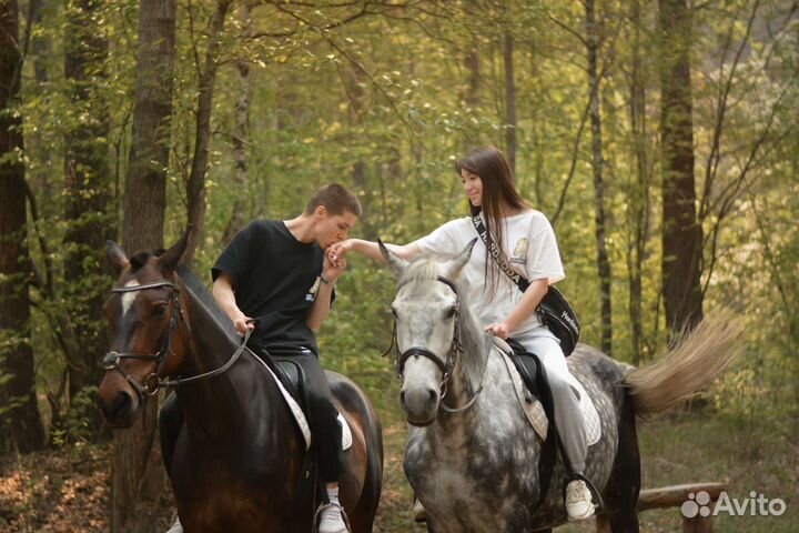 Конные прогулки