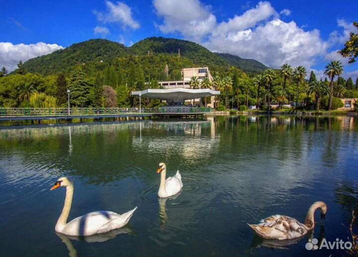 Тур путевка Абхазия на пять дн., завтраки