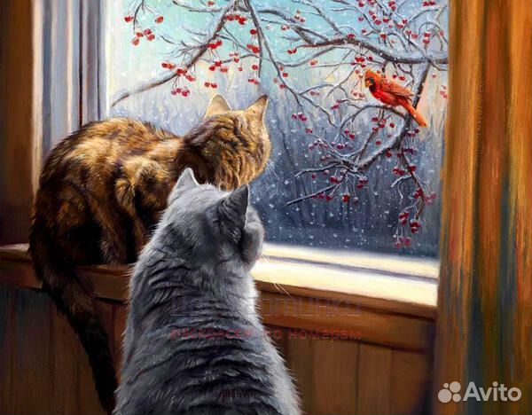 Картина по номерам 40x50 Коты любуются снегирём