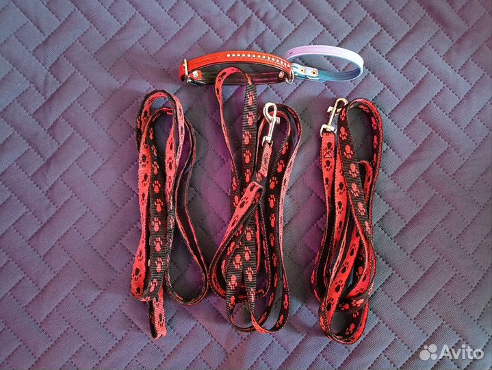 Поводки, ошейники