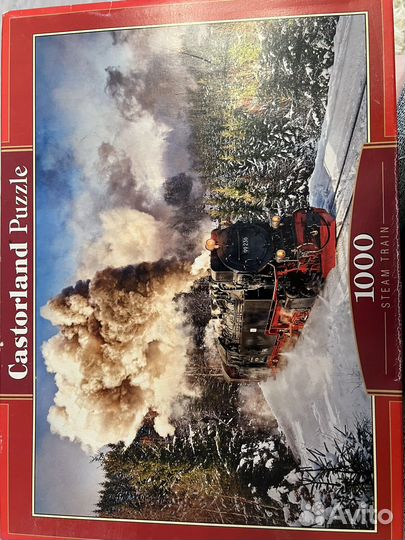 Пазлы 1000 деталей без рамы