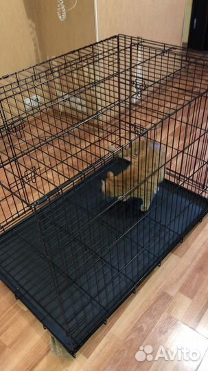 Клетка для собак. Новая