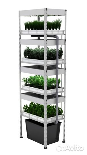 Гидропонная установка + домашний сад