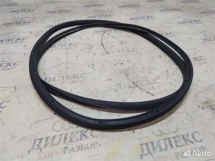 Уплотнитель двери передней Audi A6 (C6 4F) 2004-2