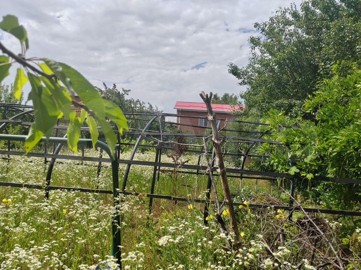 Дача 10 м² на участке 6 сот.