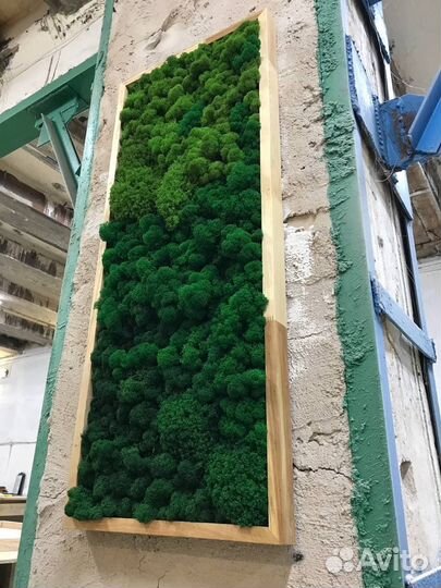 Панно из стабилизированного мха