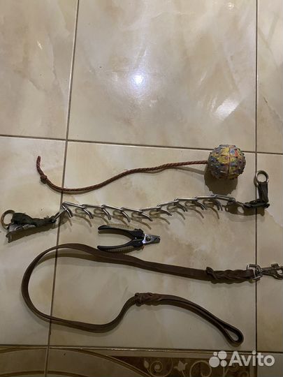 Товары для животных собак