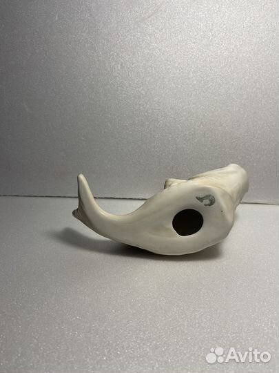 Статуэтка Окунь