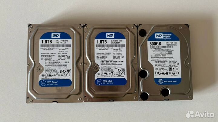 Жесткие диски WD Blue 1TB