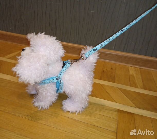 Шлейка для кошек и маленьких собак