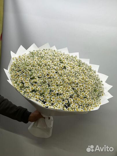 Букет ромашек