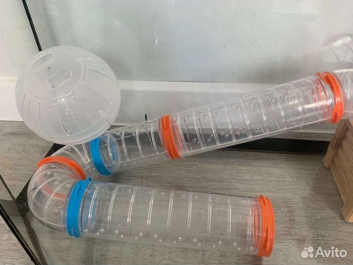 Аквариум для грызуна