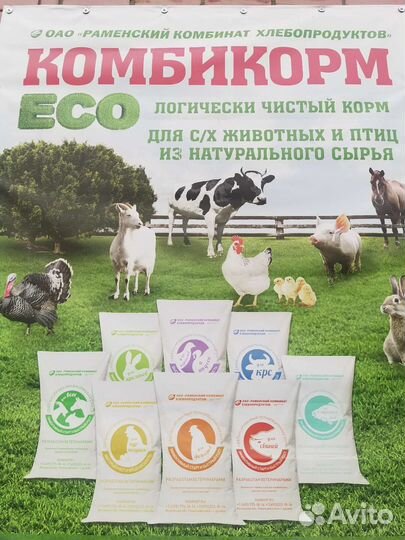 Комбикорм для взрослых кур