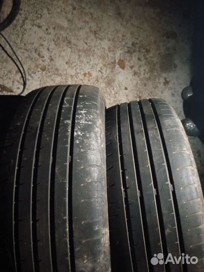 Dunlop Conquest Sport A/S 195/55 R16