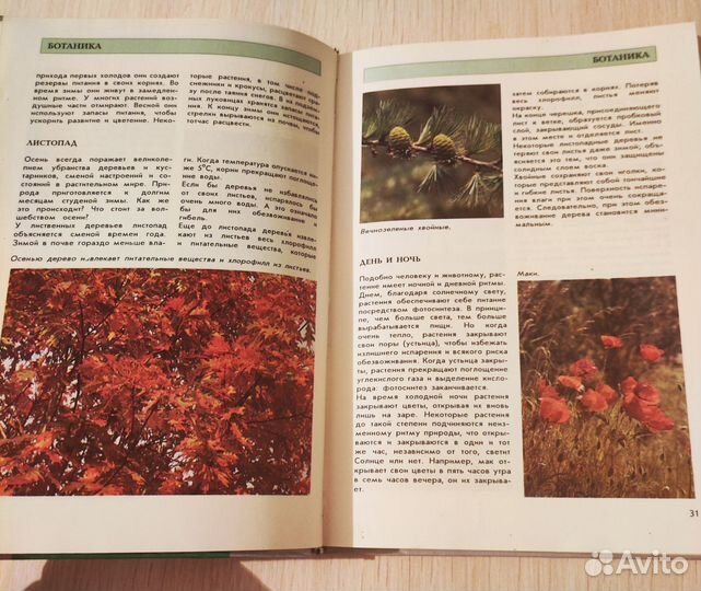 Большая энциклопедия природы для детей