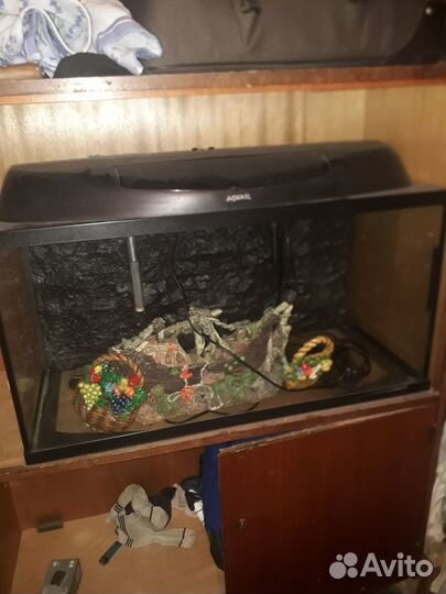 Аквариум