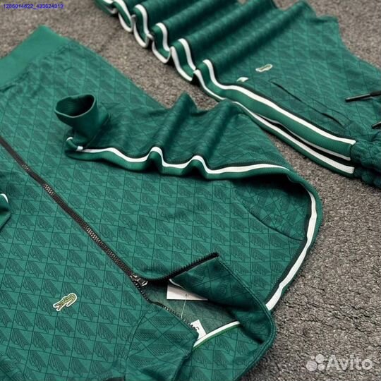 Спортивный костюм lacoste (Арт.89820)