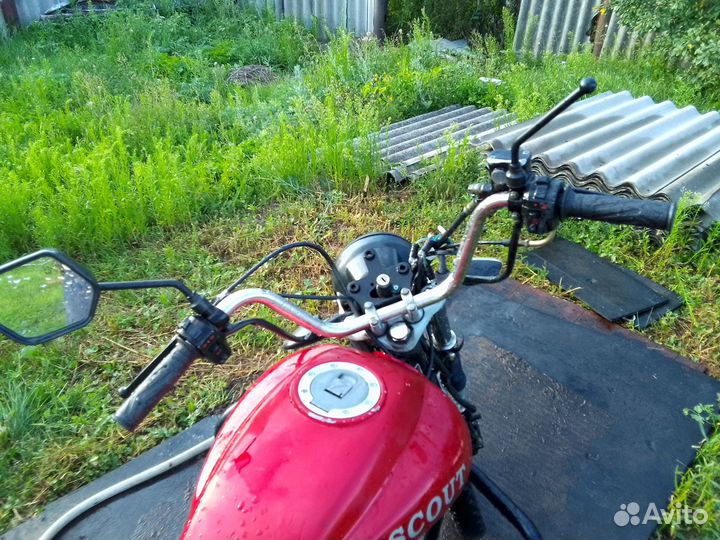 Альфа скаут