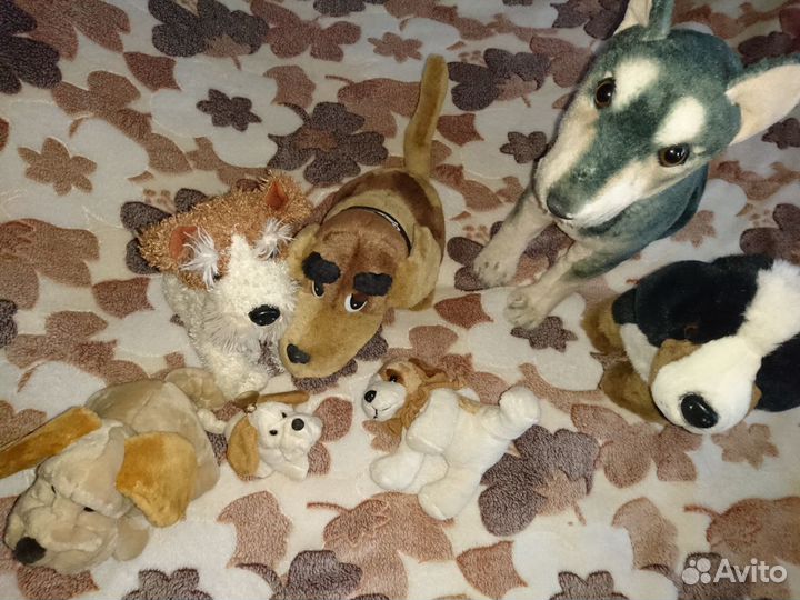 Мягкие игрушки собаки