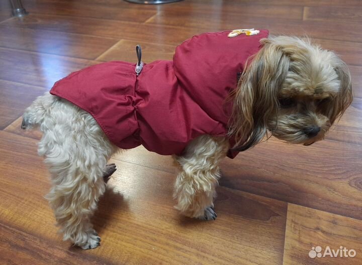 Жилет для маленькой собачки