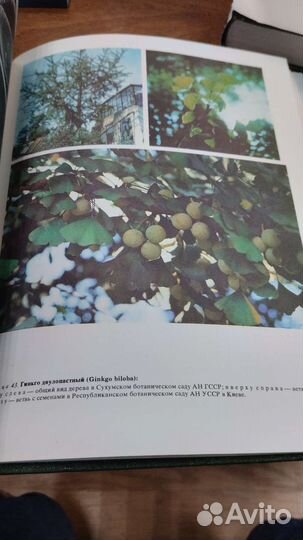 Жизнь растений в 7 томах, 1974г