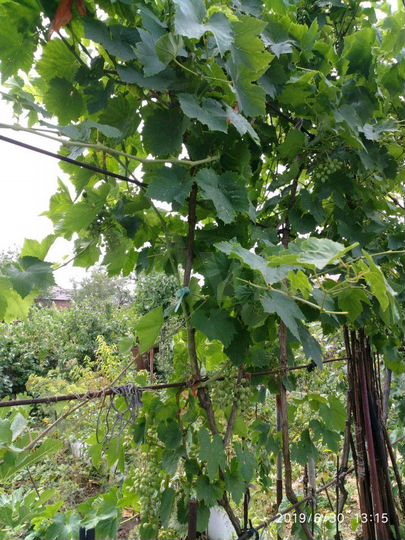 Дом 40 м² на участке 7 сот.