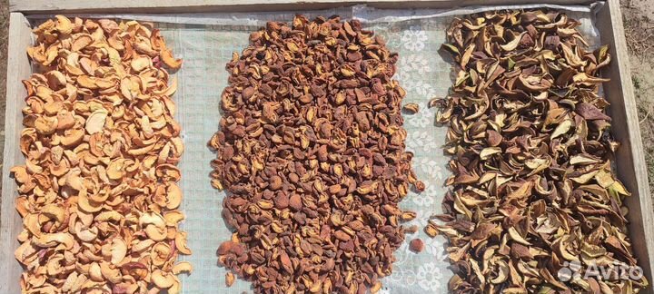 Сушеные яблоки,груши, абрикос